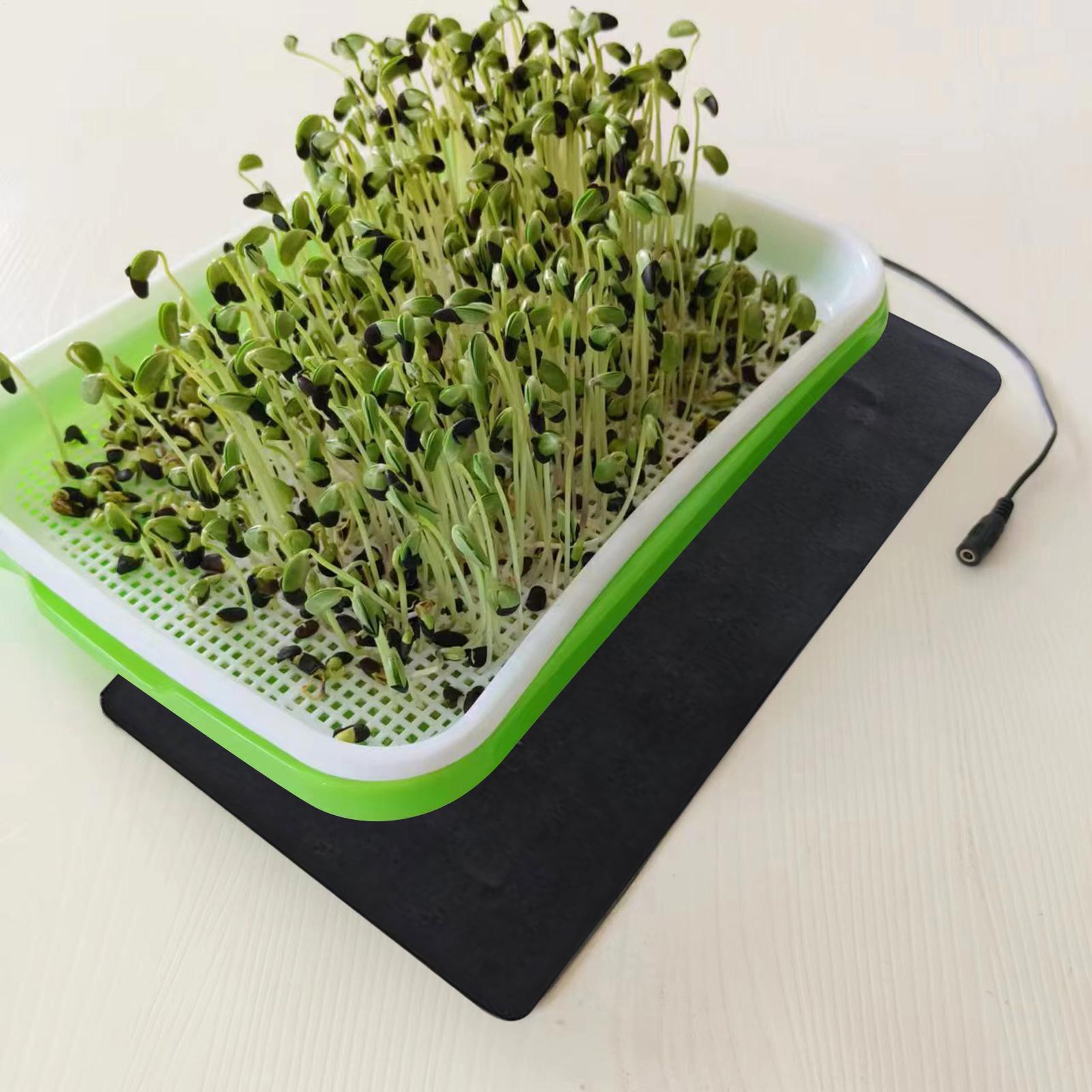 8.5W Seedling Heat Mat 5V 2A P - đánh giá và giá Seedling Heat Mat