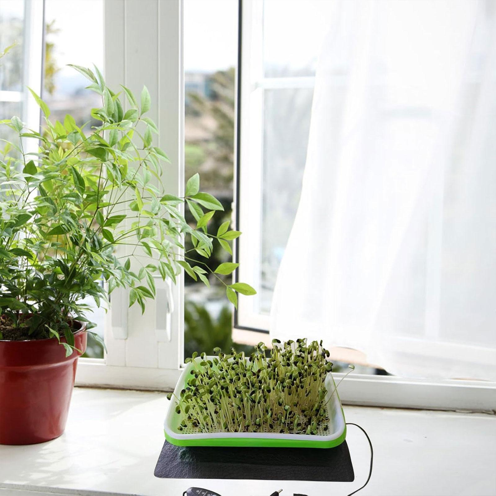 Hydroponic Heat Mat for Seedli - đánh giá và giá Seedling Heat Mat